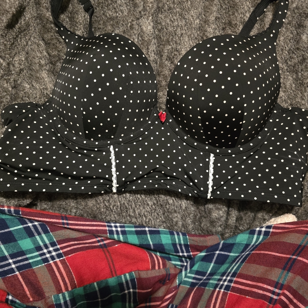 Torrid bra 42B